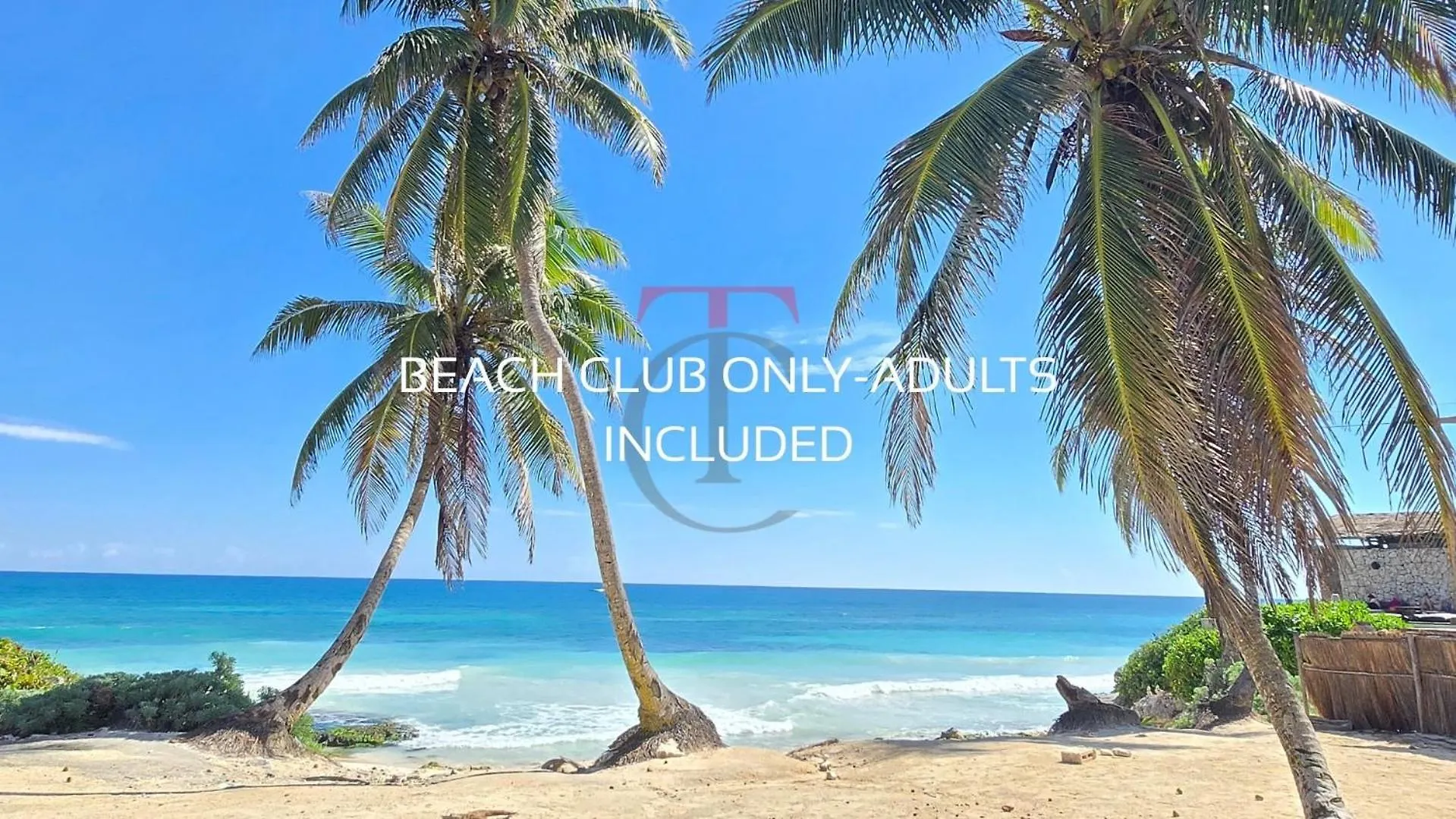 Private Pool Apartment In Tulum Hotel Zone - Beach Club
